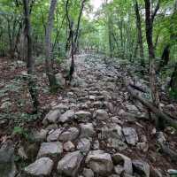 Sky-High Views at Samaksan