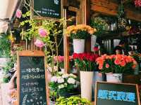 A Day trip in baisha ancient town, yunnan
