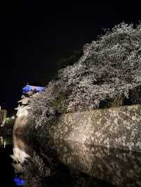 歴史と自然が調和する城下の憩い🌸 富山城址公園で静かなひととき