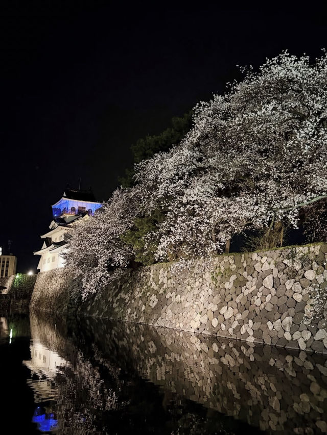 歴史と自然が調和する城下の憩い🌸 富山城址公園で静かなひととき