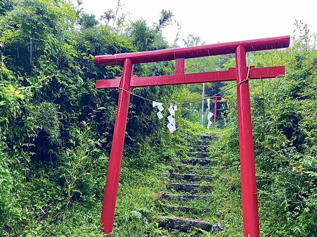 โอซาก้า🇯🇵