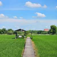 🍀นั่งชิล ชมทุ่งนา ที่ มะขามคาเฟ่ | อ่างทอง 🌿