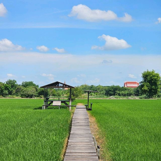 🍀นั่งชิล ชมทุ่งนา ที่ มะขามคาเฟ่ | อ่างทอง 🌿