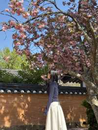 🌸 봄에 걷기 좋은 여행지 추천