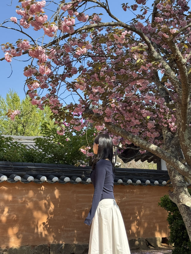 🌸 봄에 걷기 좋은 여행지 추천
