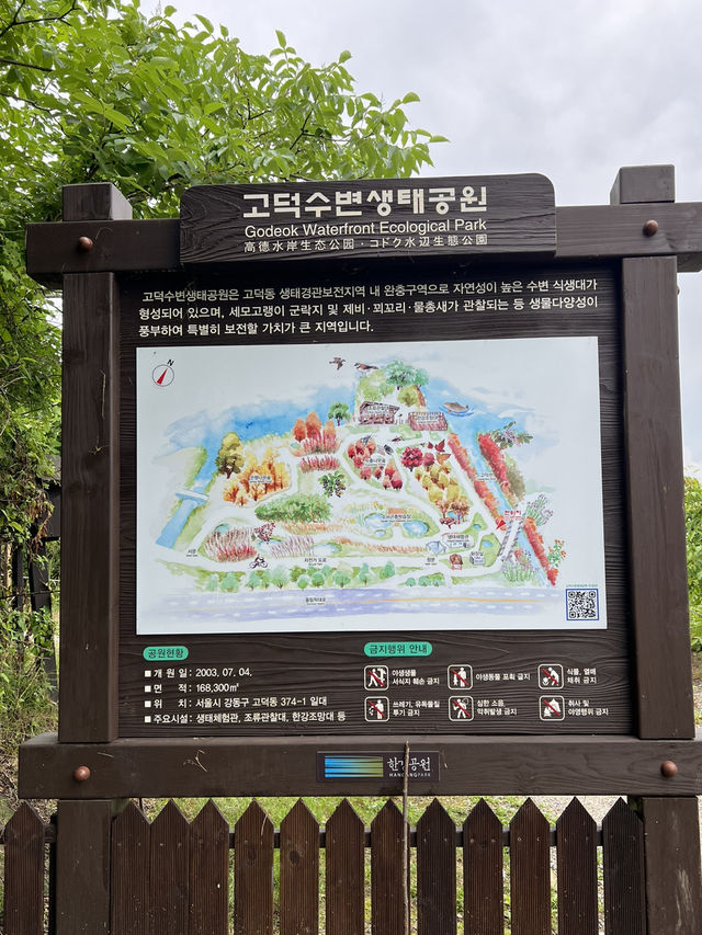 고덕 수변 생태 공원