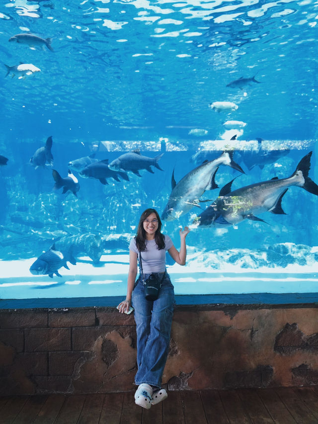 Weekend Chill at River Wonders 🐼🌿