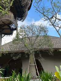 Jamii Coffee House