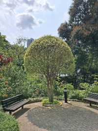 Hong Kong Park, Urban Oasis in the Heart of the City