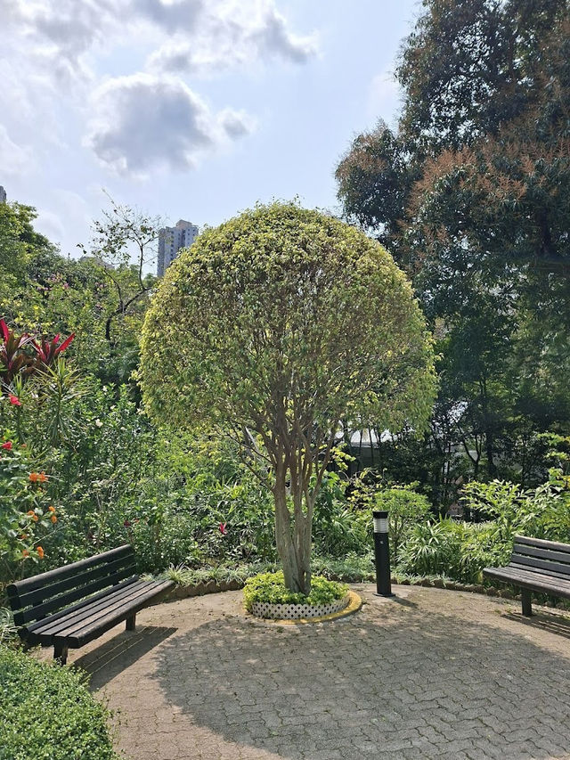 Hong Kong Park, Urban Oasis in the Heart of the City