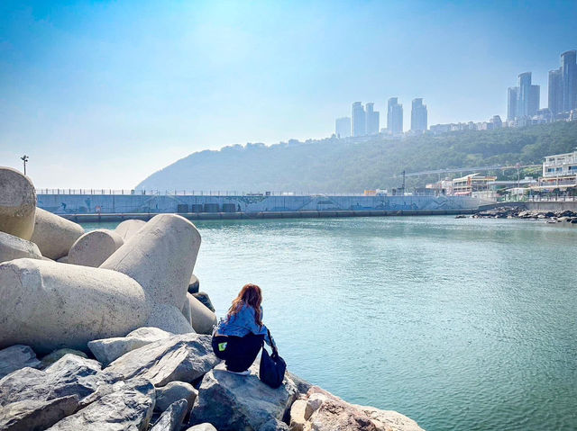 🌊 Cheongsapo + Blueline Park