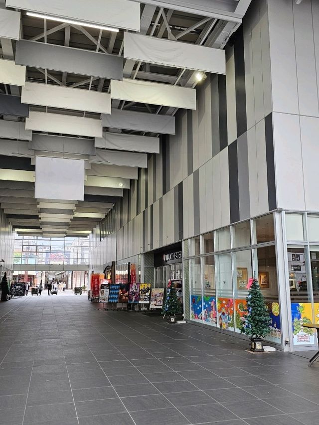 🚶‍♀️日本幸福小鎮富山市區一日遊