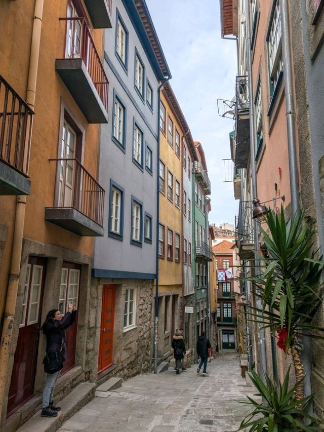 【まるで絵のような景色を巡る旅🖼️】ポルトガル第二の都市ポルトへ🇵🇹