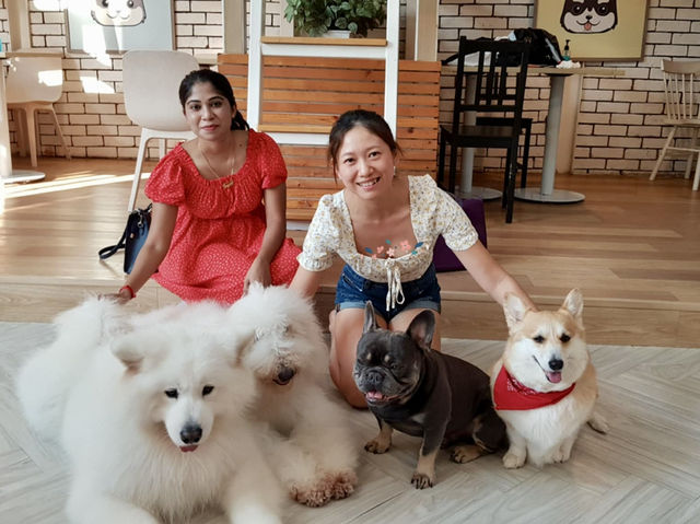 "The cutest dog café 🐶 @ Dog in Town!”