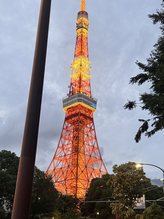 東京這三個地方，藏著讓你不想離開的秘密…