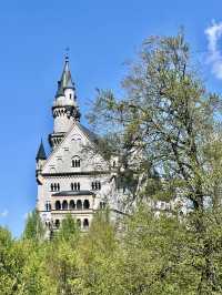 🏰 德國 新天鵝堡（Neuschwanstein Castle）一日遊攻略｜童話城堡實現之旅
