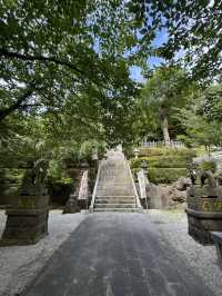 【北九州観光】月に2回入れ替わる花手水に癒される❁⃘
