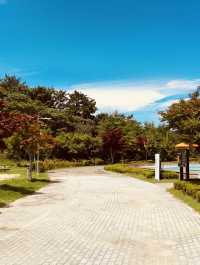 Busan National Science Museum: An Engaging Hub for Curiosity and Discovery