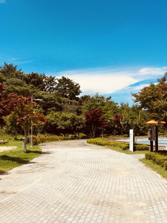 Busan National Science Museum: An Engaging Hub for Curiosity and Discovery
