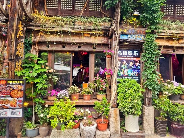 I came to this ancient town in Jiangnan, and I instantly fall in love with it