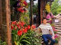 I came to this ancient town in Jiangnan, and I instantly fall in love with it