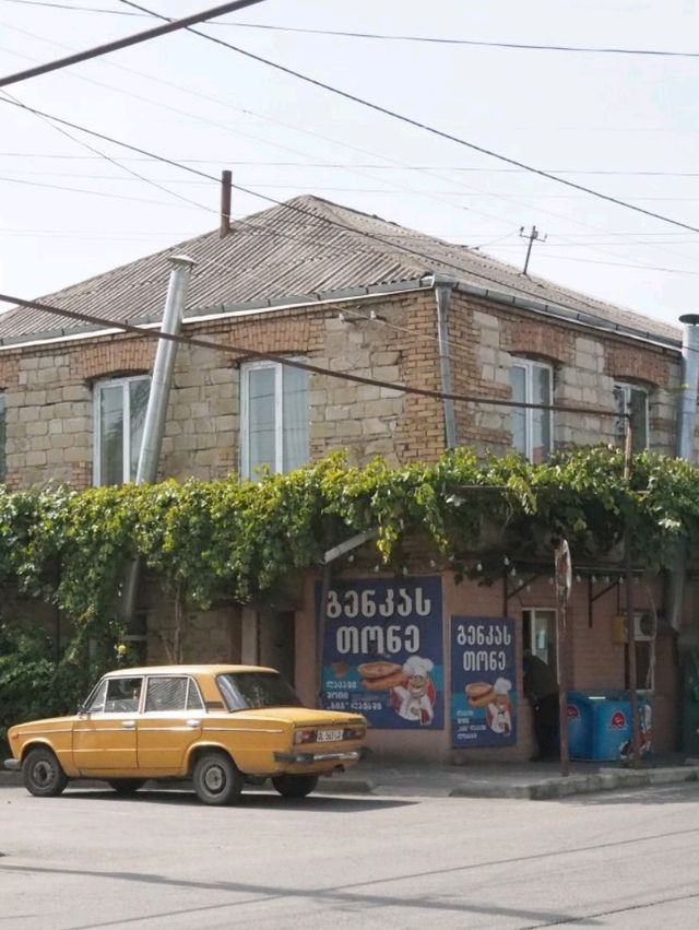 【ジョージア🇬🇪】ゴリカツレツと緑の風に誘われて