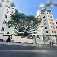 香港記事（一） 上環City Walk
