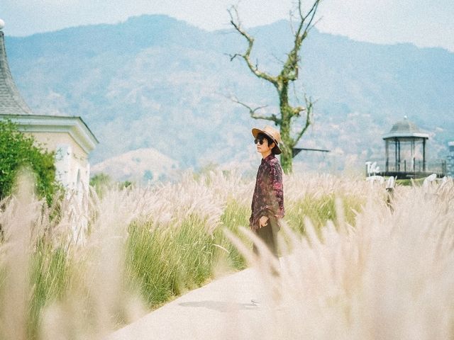 The Blue Sky Garden เขาค้อ