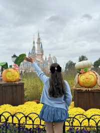 Shanghai Disneyland Park