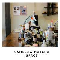 🍵 พื้นที่สายมัทฉะห้ามพลาด: Camellia Matcha Space