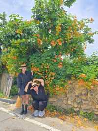 사랑스런 능소화가 핀 구례 한옥카페🧡