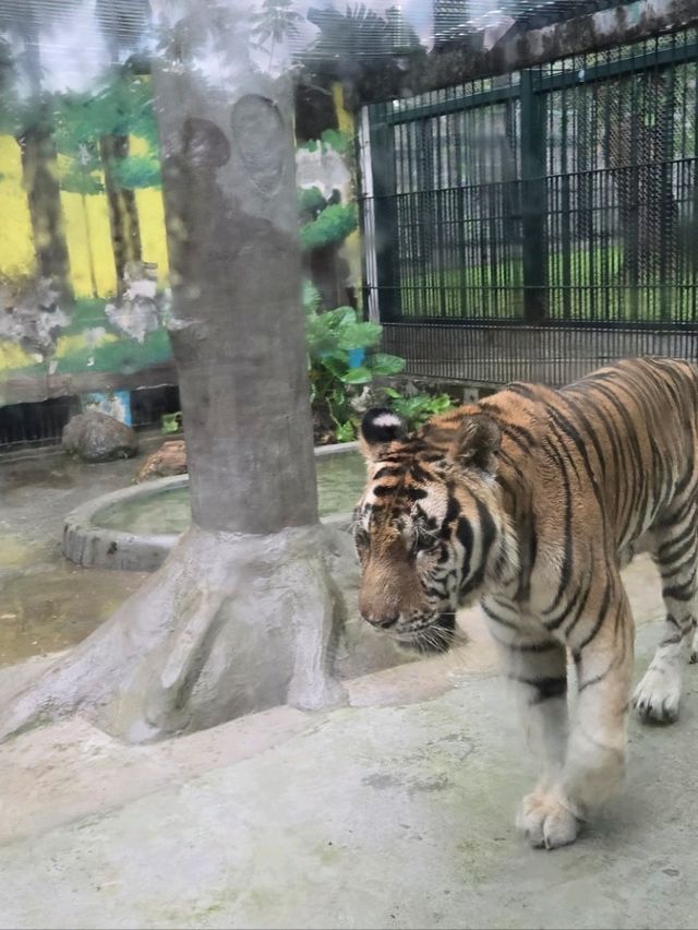 廣州动物园