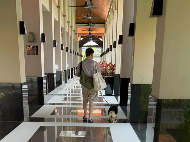 Even dogs get royal treatment! Sofitel is A Perfect Haven for a Staycation! 