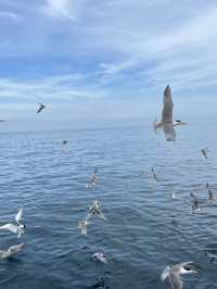 🌊🌴 Penghu Island – 3 Coastal Gems You Can’t Miss 