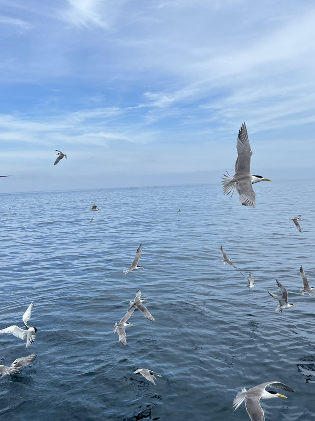 🌊🌴 Penghu Island – 3 Coastal Gems You Can’t Miss 
