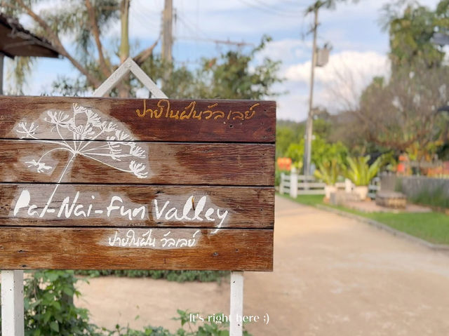 🌿 รีวิวที่พัก “ปายในฝัน” | นอนกลางหุบเขา💚