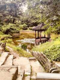 Seoul Summer Blitz: A Solo Traveler’s 48-Hour Adventure