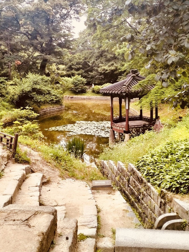 Seoul Summer Blitz: A Solo Traveler’s 48-Hour Adventure