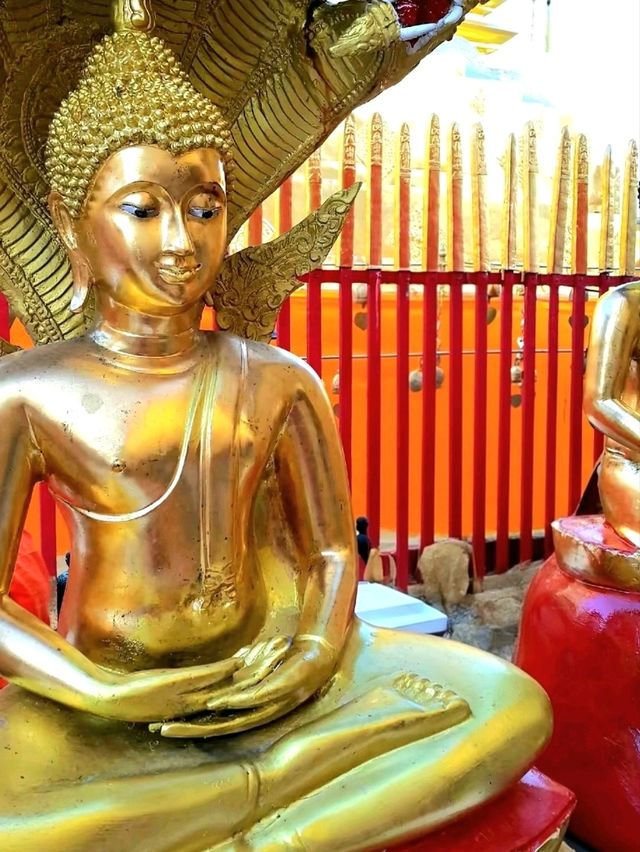 Walking Through Wat Phra That Doi Suthep in Chiang Mai
