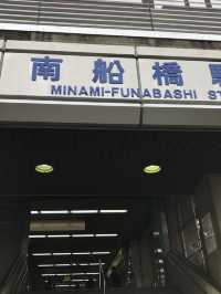 【千葉　習志野　谷津干潟公園と谷津バラ園】 