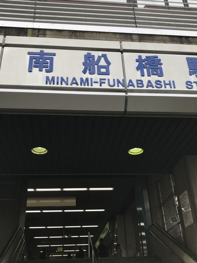 【千葉　習志野　谷津干潟公園と谷津バラ園】 
