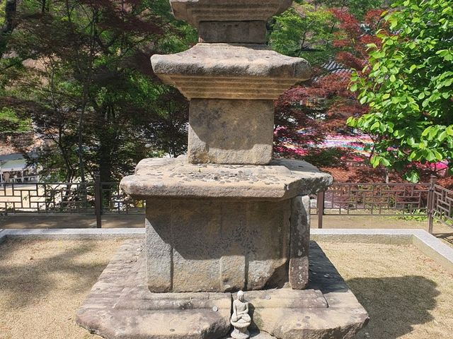 고운사화제