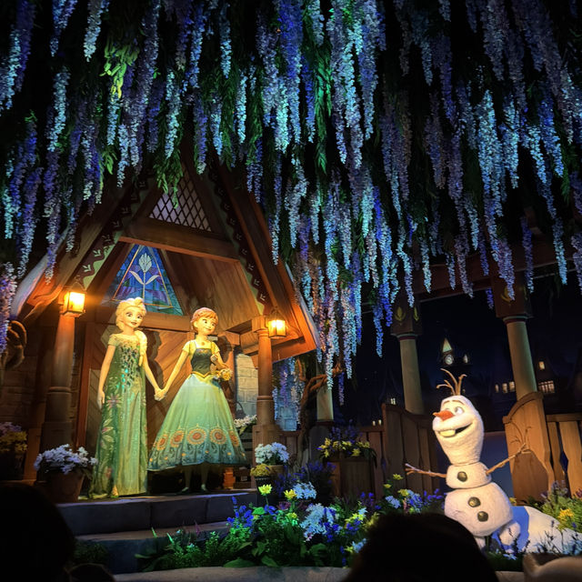 【香港ディズニー🇭🇰】一度は行ってみたい♡