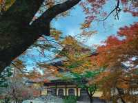 รีวิว Nanzen‑ji – วัดเซนที่ตกหลุมรัก