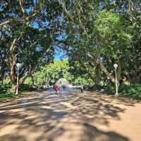 Hyde Park & ANZAC Memorial