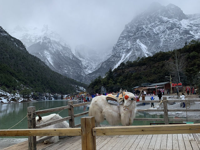 Blue Moon Valley in Winter – A Snowy Wonderland in Yunnan