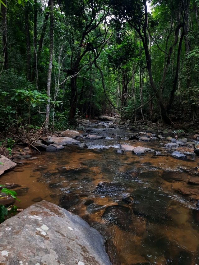 น้ำตกผาดอกเสี้ยว หรือ น้ำตก "รักจัง" 💚