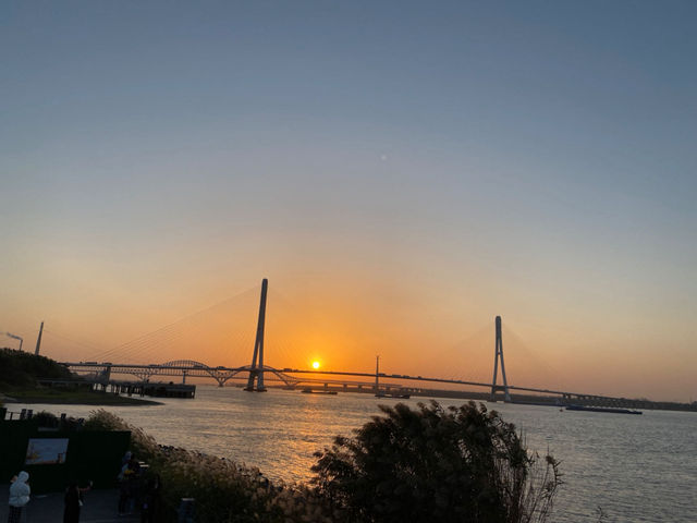 南京魚嘴濕地公園