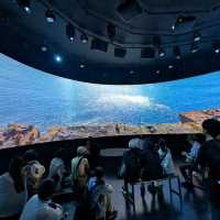 大阪 EXPO | 愛爾蘭館，小而美的生態地貌展示