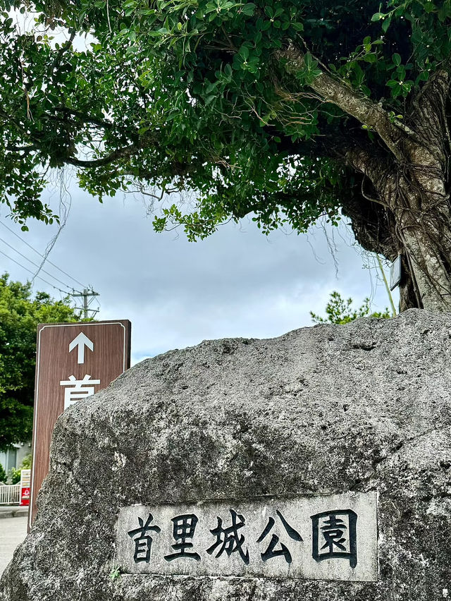 🏯 อาณาจักรริวกิว・ปราสาทชูริ・ประตูชูเรย์